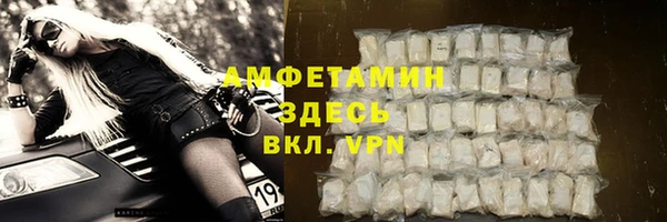 МДПВ Бородино