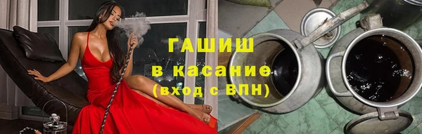 прущие грибы Ростов