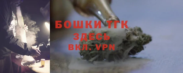 МДПВ Бородино