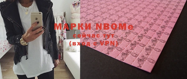 МДПВ Бородино