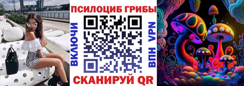 Галлюциногенные грибы Magic Shrooms  цены   Жигулёвск 