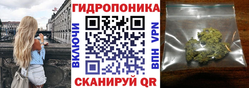 Конопля SATIVA & INDICA  блэк спрут ССЫЛКА  Жигулёвск 